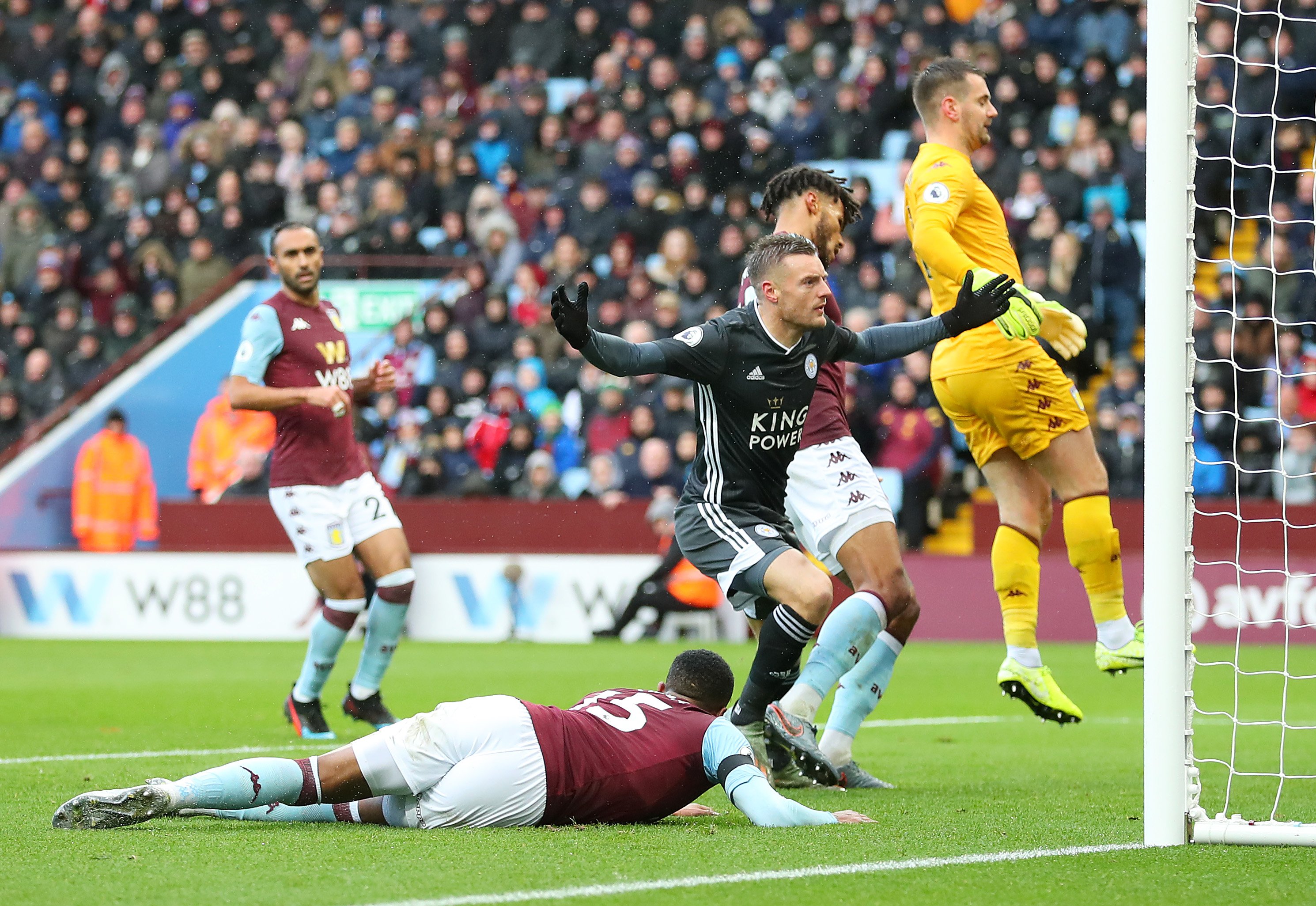 种类与我们 种类与我们