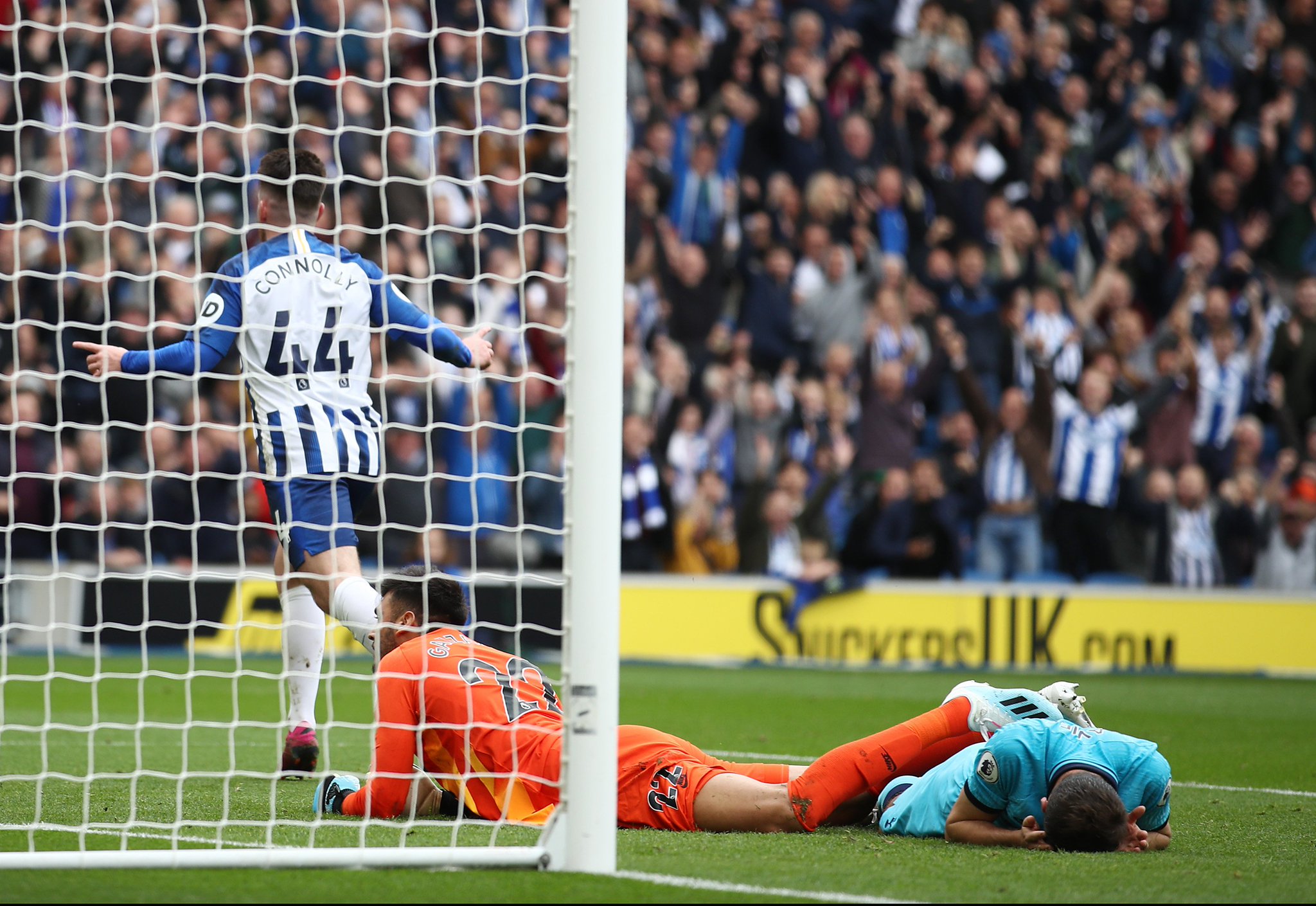 双重国籍 双重国籍